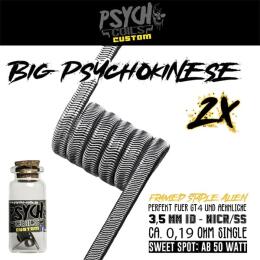Psycho Coils - Big Psychokinese Coil